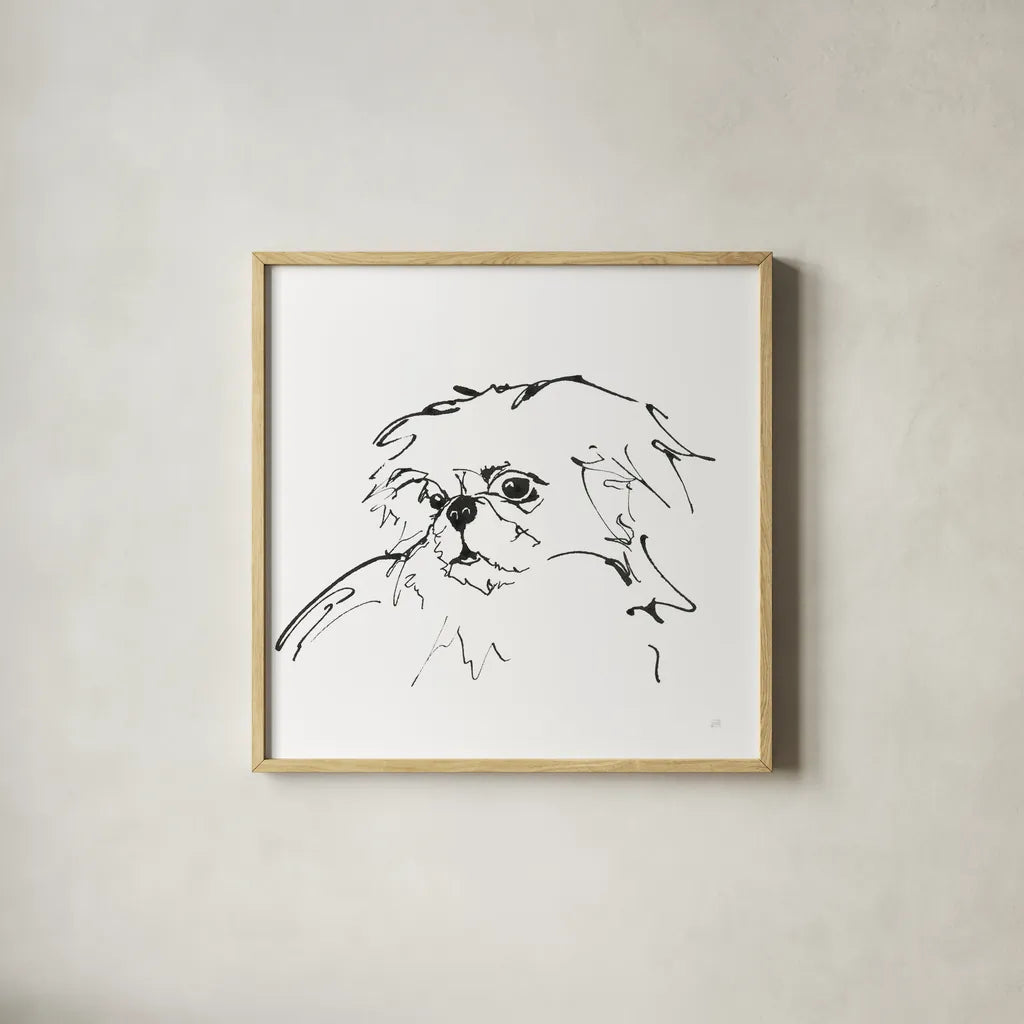 Line Dog Pekingese by Chris Paschke. Shown in a natural wood glass frame for a timeless modern aesthetic. Available as an archival giclee rolled canvas, fine art paper, or poster print. SKU 63553a.