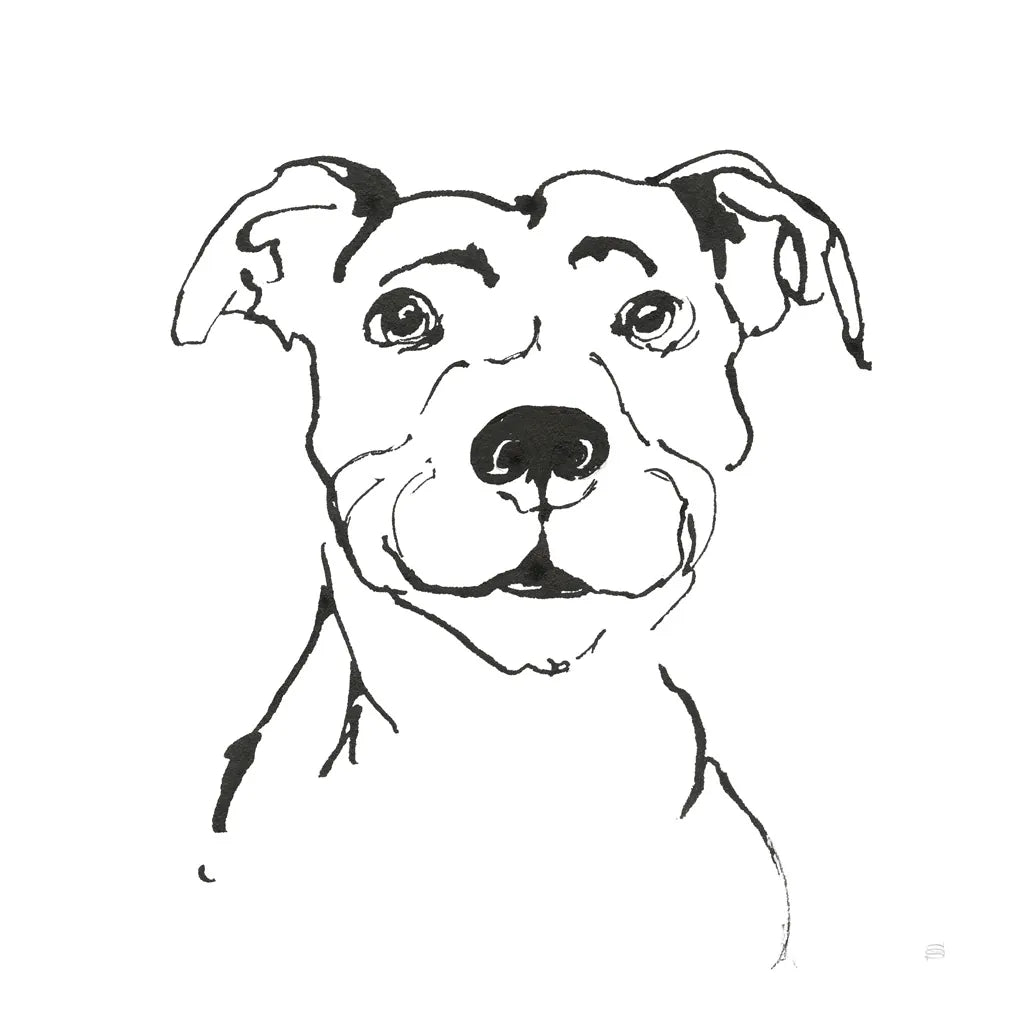 Line Dog Pitbull I by Chris Paschke. SKU 63686a. Archival Giclee Fine art print for wall decor.