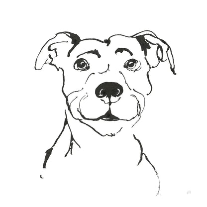 Line Dog Pitbull I by Chris Paschke. SKU 63686a. Archival Giclee Fine art print for wall decor.
