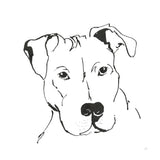 Line Dog Pitbull II by Chris Paschke. SKU 63687a. Archival Giclee Fine art print for wall decor.