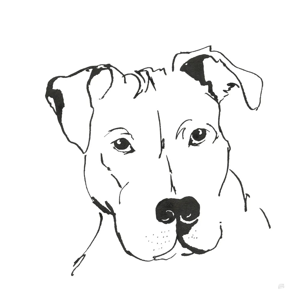 Line Dog Pitbull II by Chris Paschke. SKU 63687a. Archival Giclee Fine art print for wall decor.