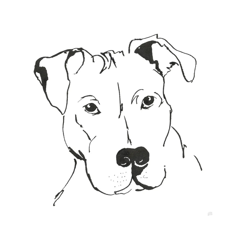 Line Dog Pitbull II by Chris Paschke. SKU 63687a. Archival Giclee Fine art print for wall decor.