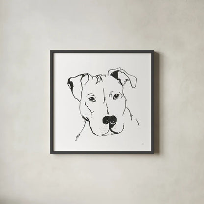 Line Dog Pitbull II by Chris Paschke. Shown in a sleek black glass frame for a contemporary gallery look. Available as an archival giclee rolled canvas, fine art paper, or poster print. SKU 63687a.