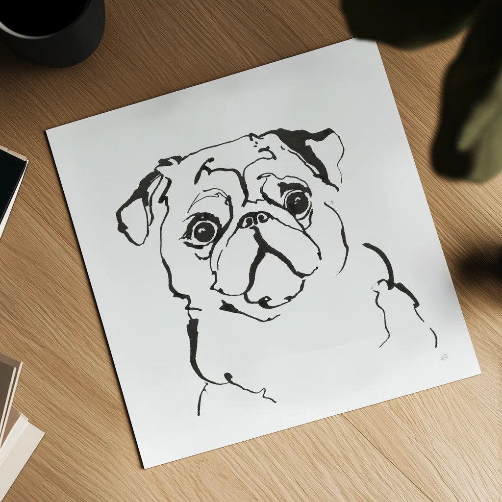 Line Dog Pug I by Chris Paschke. Shown as a detailed flat fine art print, highlighting archival giclee quality. Available as an archival giclee rolled canvas, fine art paper, or poster print. SKU 63554a.