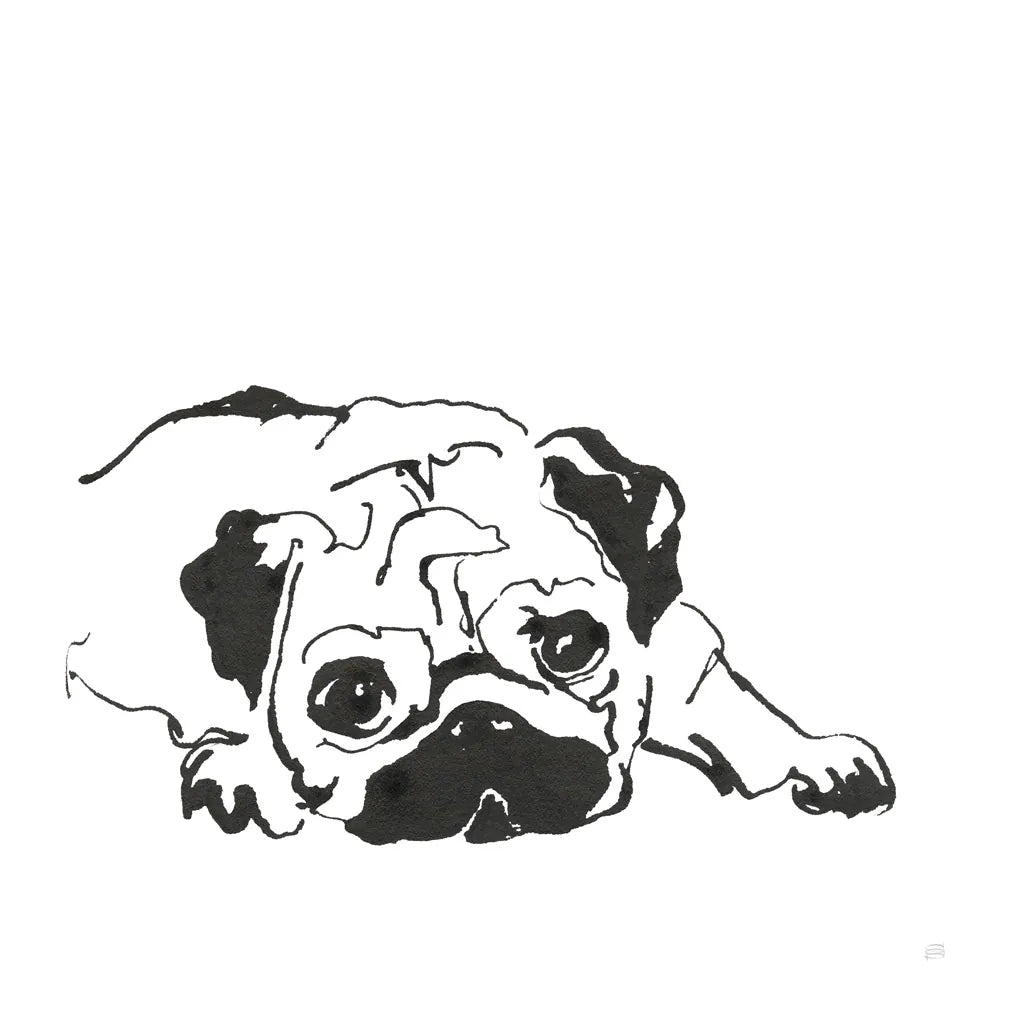 Line Dog Pug II by Chris Paschke. SKU 63555a. Archival Giclee Fine art print for wall decor.