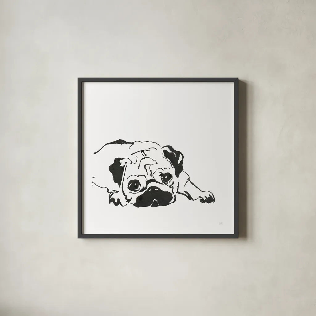 Line Dog Pug II by Chris Paschke. Shown in a sleek black glass frame for a contemporary gallery look. Available as an archival giclee rolled canvas, fine art paper, or poster print. SKU 63555a.