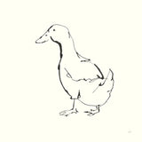 Line Duck I by Chris Paschke. SKU 58323a. Archival Giclee Fine art print for wall decor.
