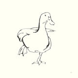 Line Duck II by Chris Paschke. SKU 58324a. Archival Giclee Fine art print for wall decor.