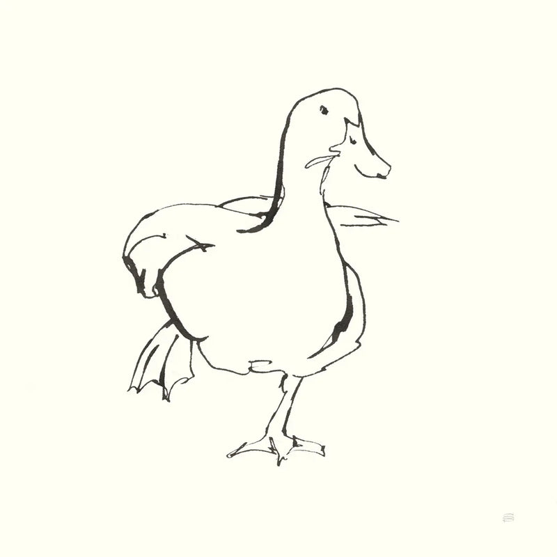 Line Duck II by Chris Paschke. SKU 58324a. Archival Giclee Fine art print for wall decor.