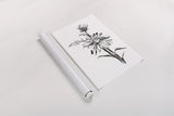 Line Echinacea I by Chris Paschke. shown as a rolled paper print. Available as archival giclee rolled canvas, fine art paper, or poster print. SKU 64879h.