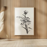 Line Echinacea I by Chris Paschke. shown as over sized large wall art. Available as an archival giclee rolled canvas, fine art paper, or poster print. SKU 64879h.