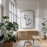 Line Echinacea II by Chris Paschke. shown as a print in a natural wood frame in a dining room. Available as a archival giclee rolled canvas, fine art paper, or poster print. SKU 64880h.