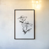 Line Echinacea II by Chris Paschke. shown as a paper print in a black flame. Available as a archival giclee rolled canvas, fine art paper, or poster print. SKU 64880h.