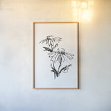 Line Echinacea II by Chris Paschke. shown as a paper print in a natural frame. Available as a archival giclee rolled canvas, fine art paper, or poster print. SKU 64880h.