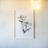 Line Echinacea II by Chris Paschke. shown as a paper print in a white frame. Available as a archival giclee rolled canvas, fine art paper, or poster print. SKU 64880h.