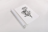 Line Echinacea III by Chris Paschke. shown as a rolled paper print. Available as archival giclee rolled canvas, fine art paper, or poster print. SKU 64881h.
