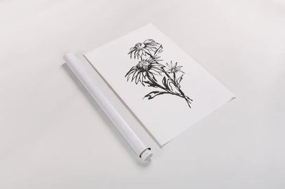 Line Echinacea III by Chris Paschke. shown as a rolled paper print. Available as archival giclee rolled canvas, fine art paper, or poster print. SKU 64881h.