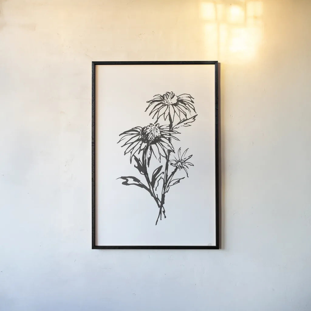 Line Echinacea III by Chris Paschke. shown as a paper print in a black flame. Available as a archival giclee rolled canvas, fine art paper, or poster print. SKU 64881h.