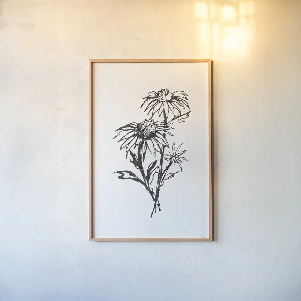 Line Echinacea III by Chris Paschke. shown as a paper print in a natural frame. Available as a archival giclee rolled canvas, fine art paper, or poster print. SKU 64881h.
