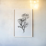 Line Echinacea III by Chris Paschke. shown as a paper print in a white frame. Available as a archival giclee rolled canvas, fine art paper, or poster print. SKU 64881h.