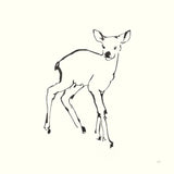 Line Fawn by Chris Paschke. SKU 58328a. Archival Giclee Fine art print for wall decor.