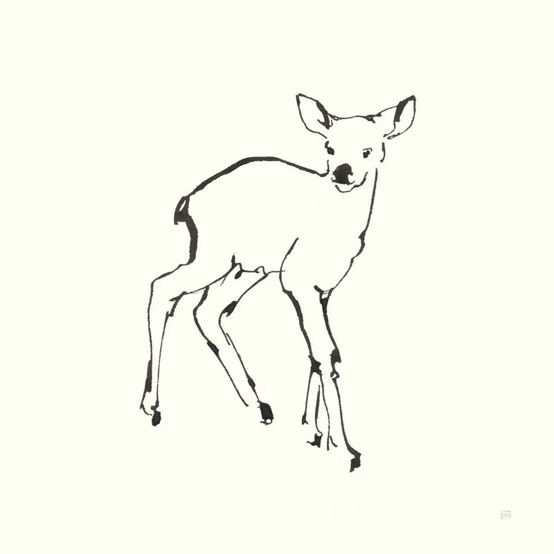 Line Fawn by Chris Paschke. SKU 58328a. Archival Giclee Fine art print for wall decor.