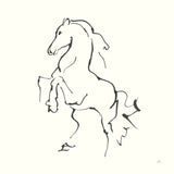 Line Horse I by Chris Paschke. SKU 62489a. Archival Giclee Fine art print for wall decor.