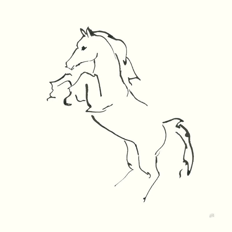 Line Horse IX by Chris Paschke. SKU 62497a. Archival Giclee Fine art print for wall decor.