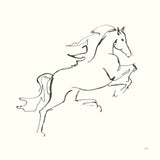 Line Horse VI by Chris Paschke. SKU 62494a. Archival Giclee Fine art print for wall decor.