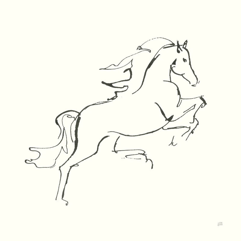 Line Horse VI by Chris Paschke. SKU 62494a. Archival Giclee Fine art print for wall decor.