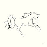 Line Horse VII by Chris Paschke. SKU 62495a. Archival Giclee Fine art print for wall decor.