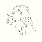 Line Horse VIII by Chris Paschke. SKU 62496a. Archival Giclee Fine art print for wall decor.