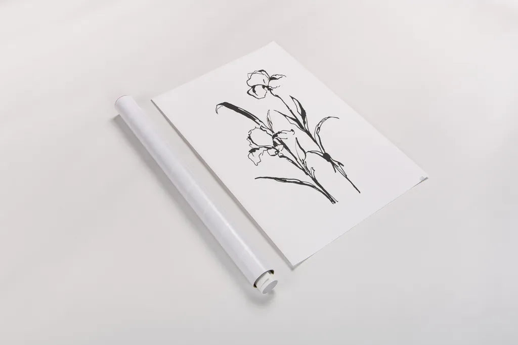 Line Iris I by Chris Paschke. shown as a rolled paper print. Available as archival giclee rolled canvas, fine art paper, or poster print. SKU 64189h.