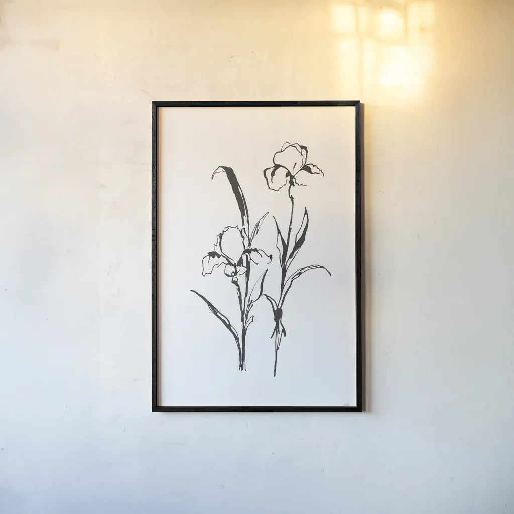 Line Iris I by Chris Paschke. shown as a paper print in a black flame. Available as a archival giclee rolled canvas, fine art paper, or poster print. SKU 64189h.