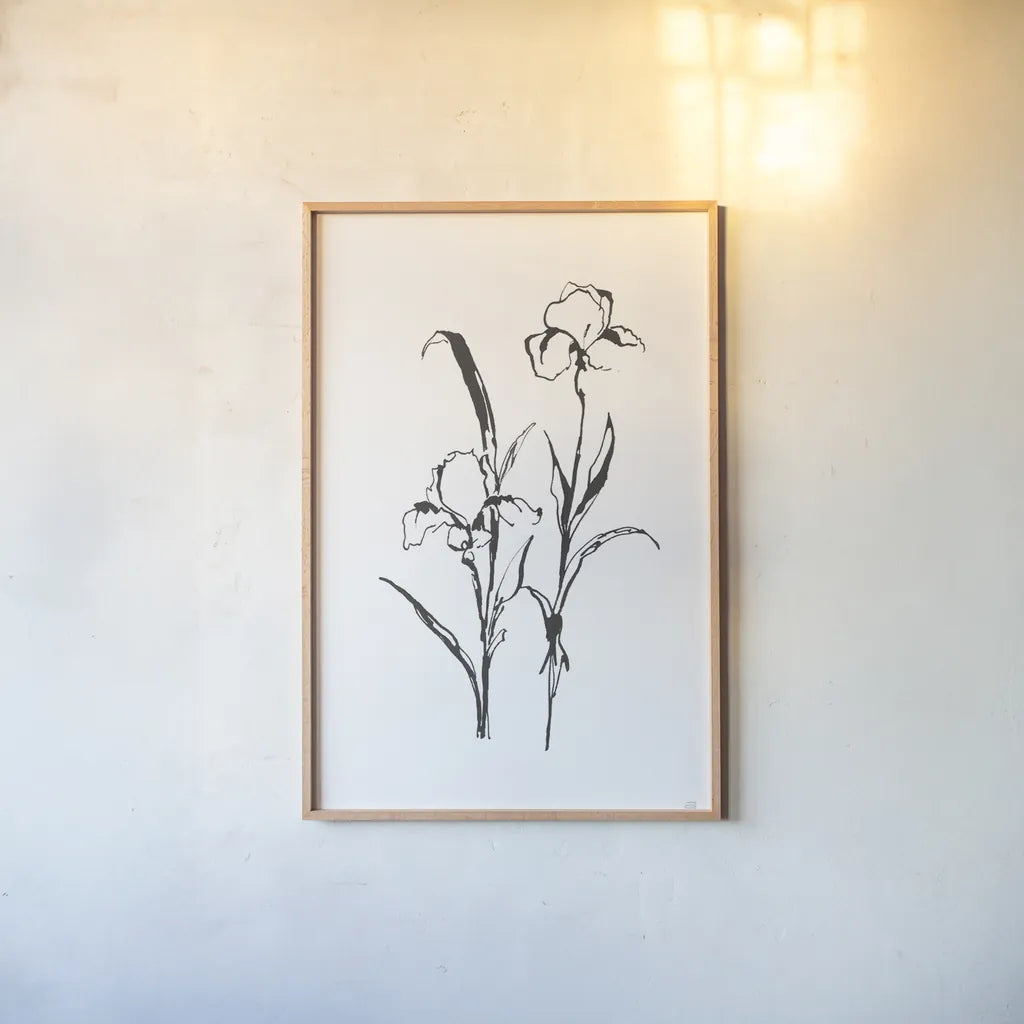 Line Iris I by Chris Paschke. shown as a paper print in a natural frame. Available as a archival giclee rolled canvas, fine art paper, or poster print. SKU 64189h.