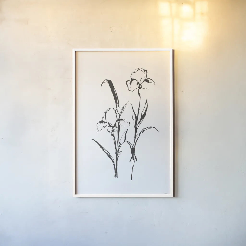 Line Iris I by Chris Paschke. shown as a paper print in a white frame. Available as a archival giclee rolled canvas, fine art paper, or poster print. SKU 64189h.