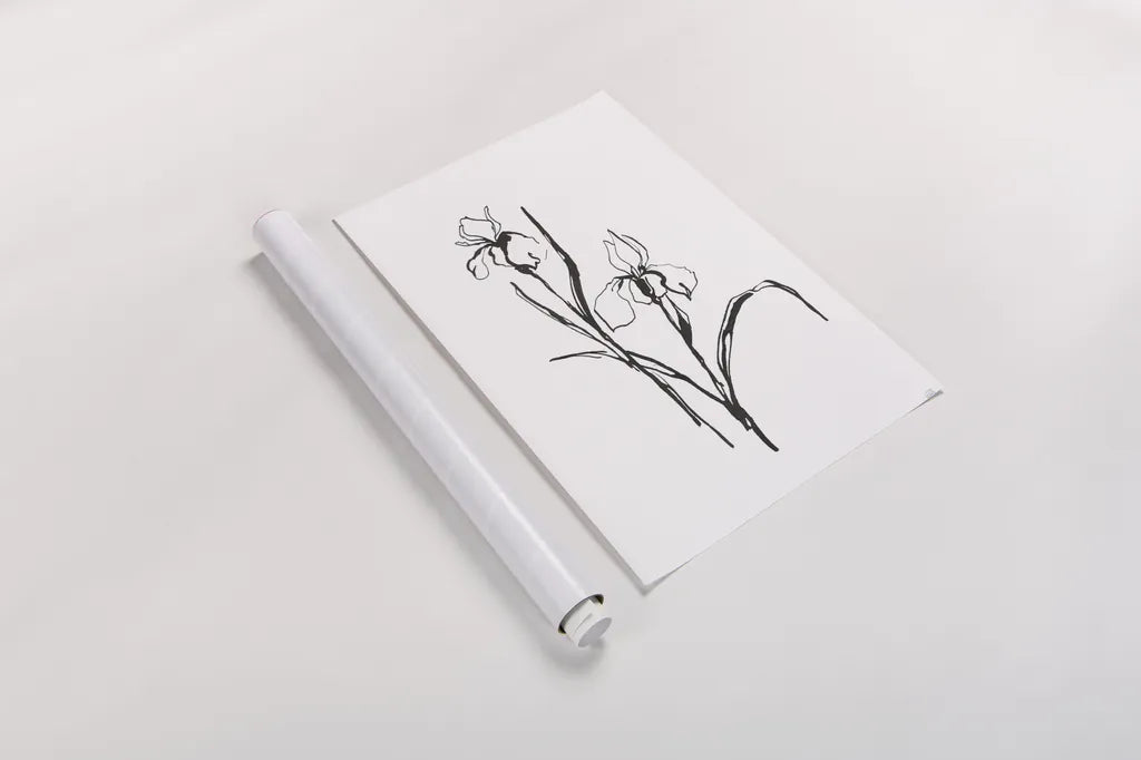 Line Iris III by Chris Paschke. shown as a rolled paper print. Available as archival giclee rolled canvas, fine art paper, or poster print. SKU 64191h.