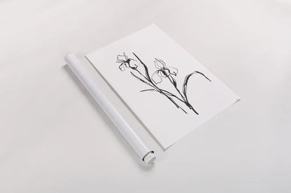 Line Iris III by Chris Paschke. shown as a rolled paper print. Available as archival giclee rolled canvas, fine art paper, or poster print. SKU 64191h.