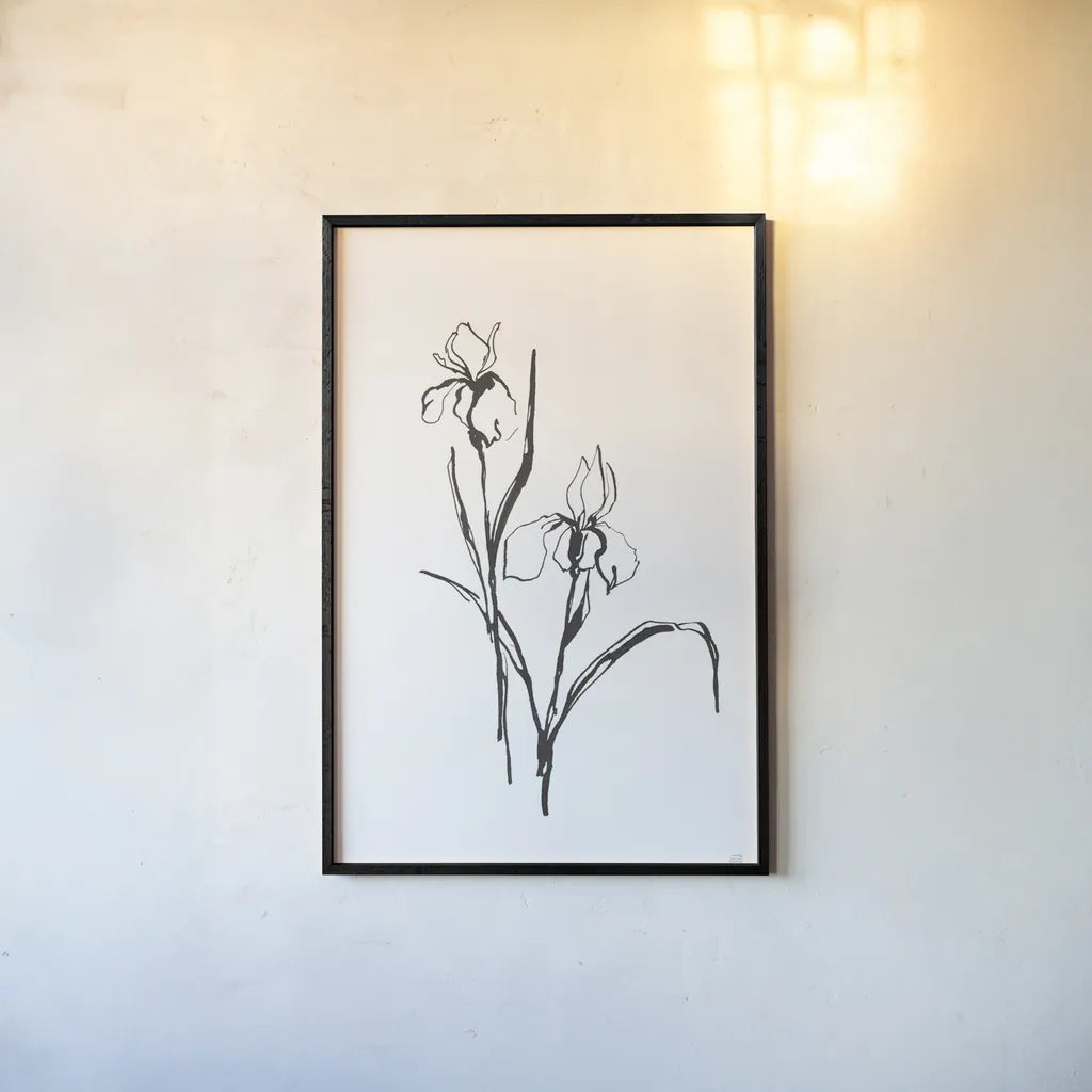 Line Iris III by Chris Paschke. shown as a paper print in a black flame. Available as a archival giclee rolled canvas, fine art paper, or poster print. SKU 64191h.