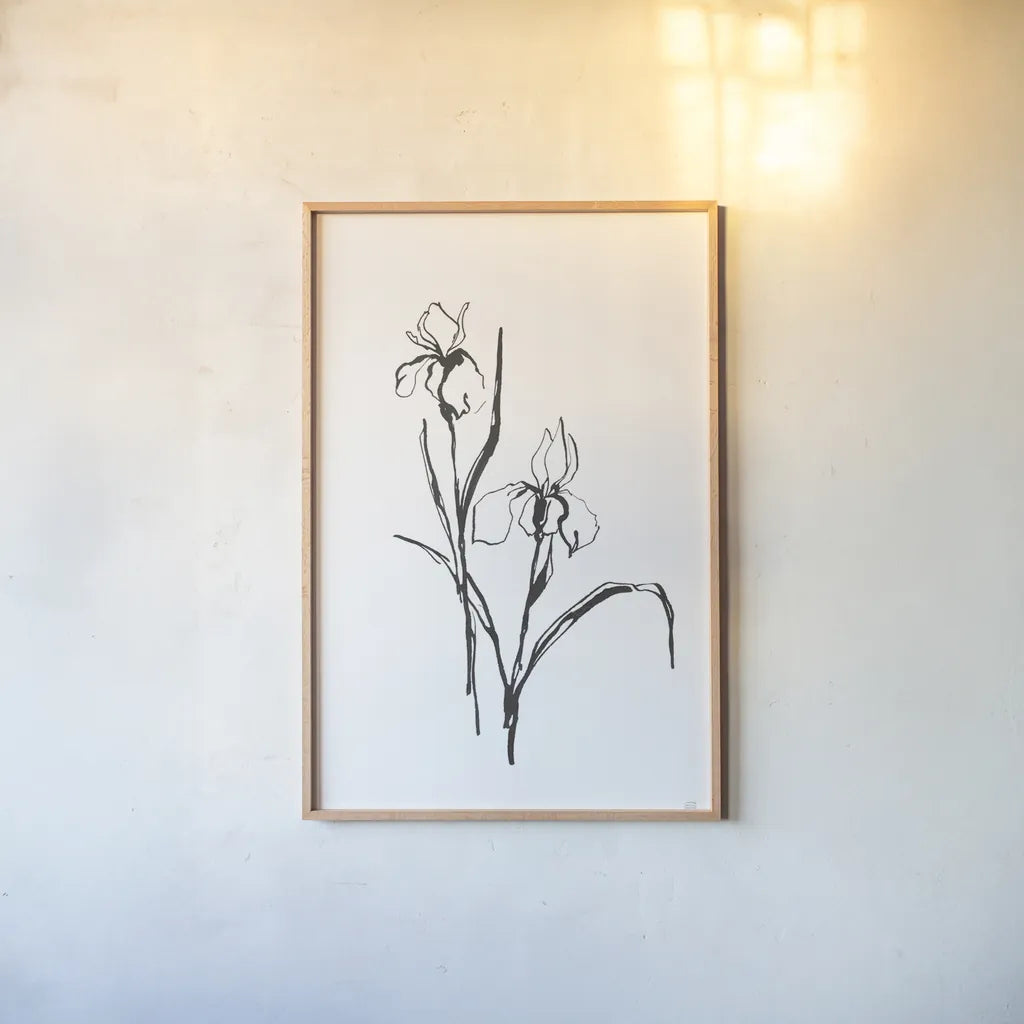 Line Iris III by Chris Paschke. shown as a paper print in a natural frame. Available as a archival giclee rolled canvas, fine art paper, or poster print. SKU 64191h.