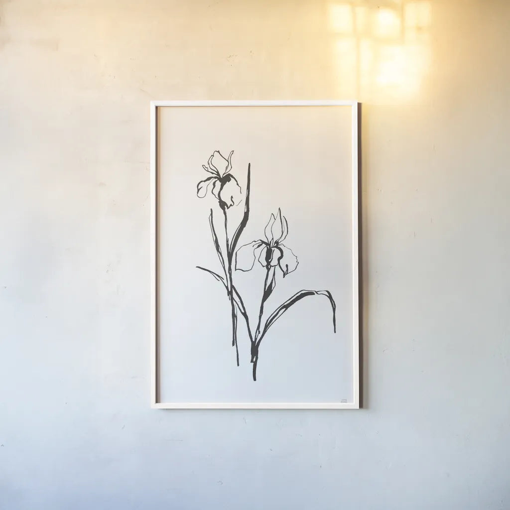 Line Iris III by Chris Paschke. shown as a paper print in a white frame. Available as a archival giclee rolled canvas, fine art paper, or poster print. SKU 64191h.