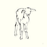 Line Lamb by Chris Paschke. SKU 58327a. Archival Giclee Fine art print for wall decor.