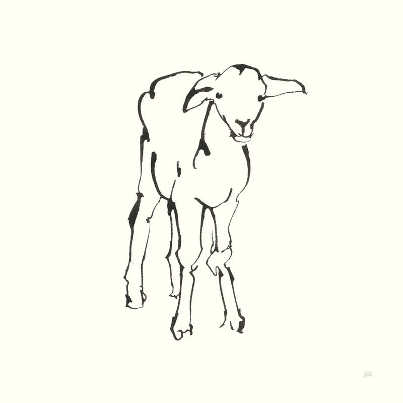 Line Lamb by Chris Paschke. SKU 58327a. Archival Giclee Fine art print for wall decor.
