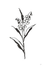 Line Lily of the Valley II by Chris Paschke. SKU 64185h. Archival Giclee Fine art print for wall decor.