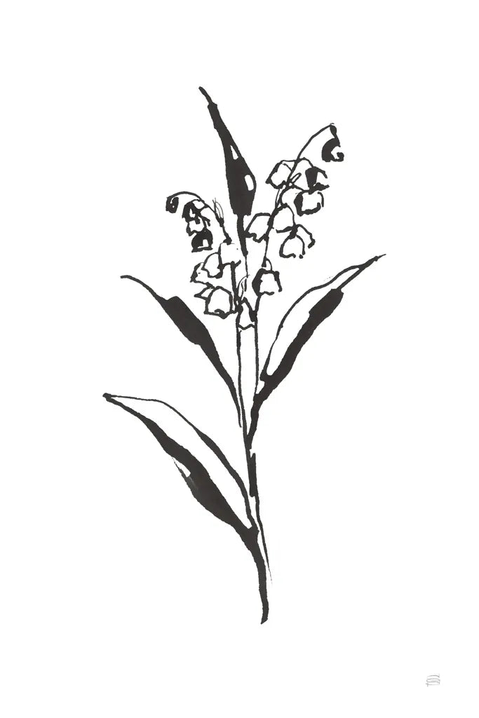 Line Lily of the Valley II by Chris Paschke. SKU 64185h. Archival Giclee Fine art print for wall decor.