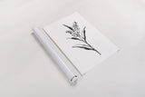 Line Lily of the Valley II by Chris Paschke. shown as a rolled paper print. Available as archival giclee rolled canvas, fine art paper, or poster print. SKU 64185h.