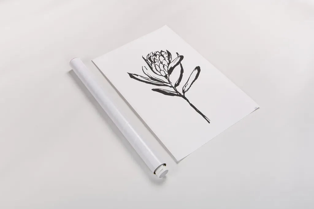 Line Protea I by Chris Paschke. shown as a rolled paper print. Available as archival giclee rolled canvas, fine art paper, or poster print. SKU 64178h.