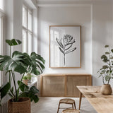 Line Protea I by Chris Paschke. shown as a print in a natural wood frame in a dining room. Available as a archival giclee rolled canvas, fine art paper, or poster print. SKU 64178h.