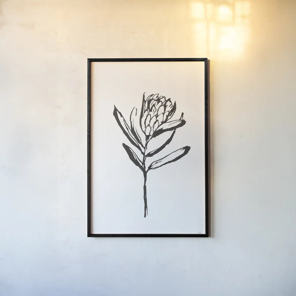 Line Protea I by Chris Paschke. shown as a paper print in a black flame. Available as a archival giclee rolled canvas, fine art paper, or poster print. SKU 64178h.
