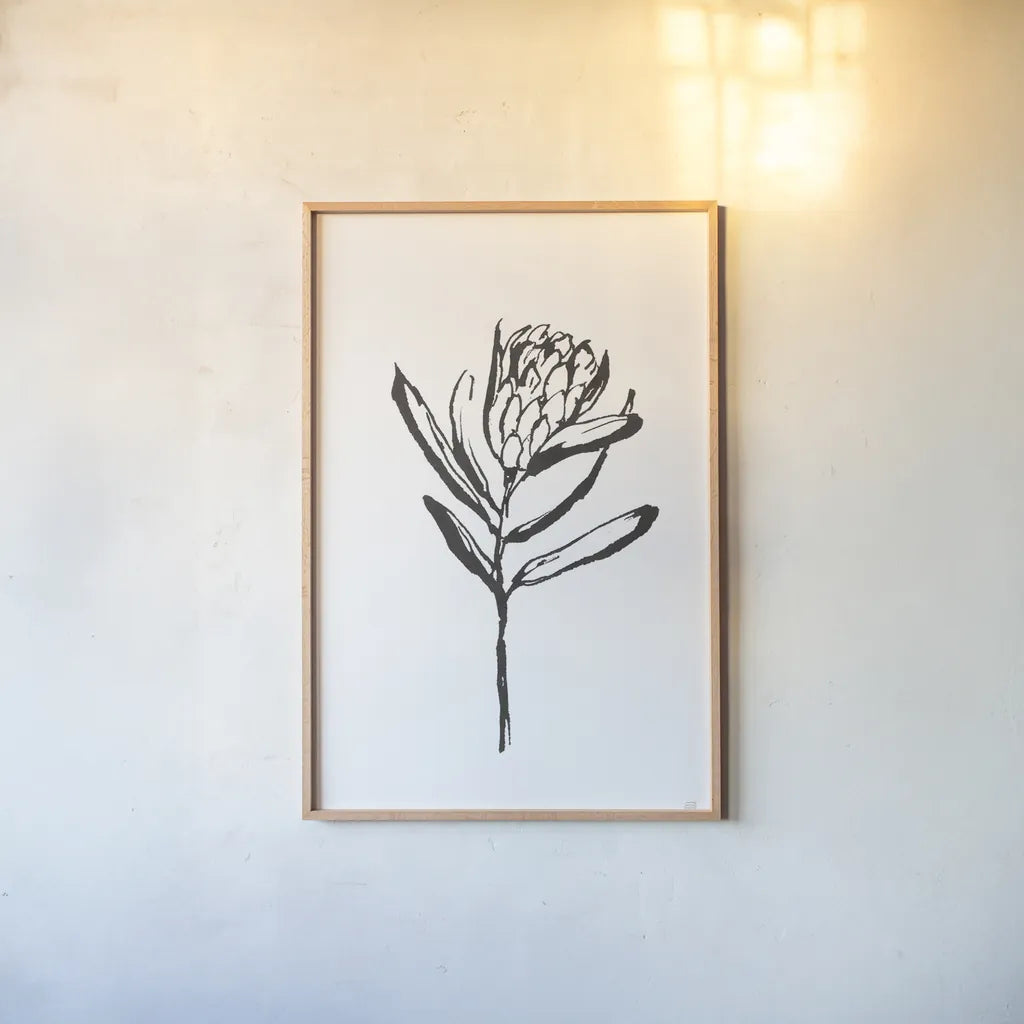 Line Protea I by Chris Paschke. shown as a paper print in a natural frame. Available as a archival giclee rolled canvas, fine art paper, or poster print. SKU 64178h.